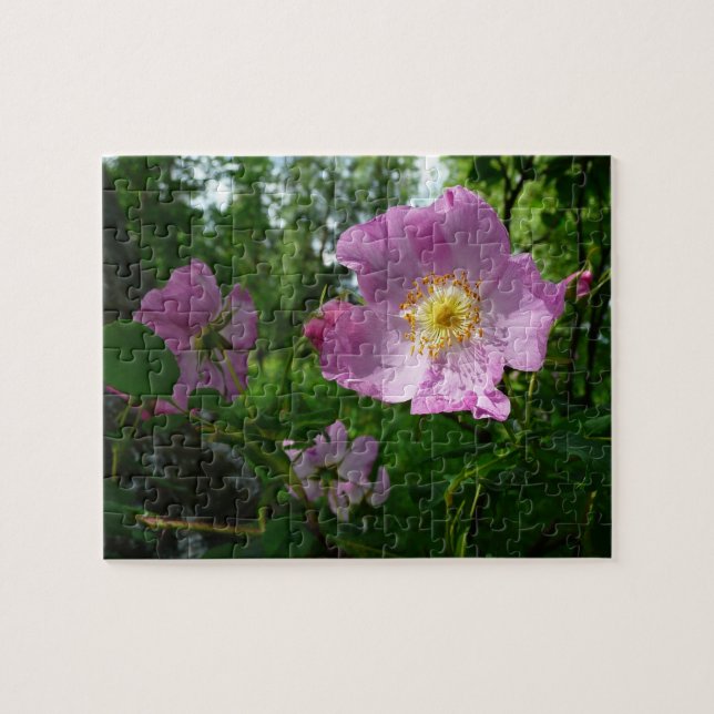 Puzzle Roses roses sauvages en Alaska (Horizontal)