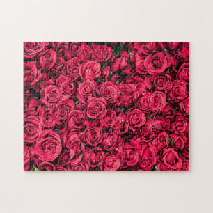 Puzzle Roses rouges