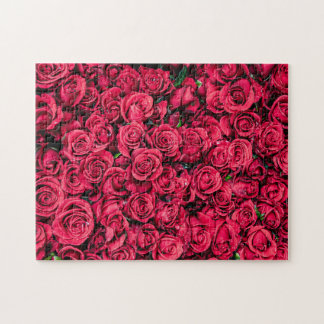 Puzzle Roses rouges