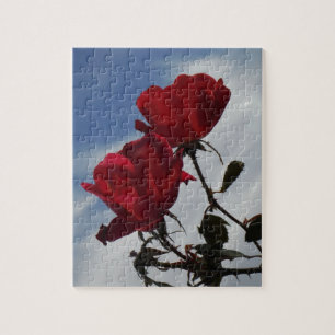 Puzzle Roses rouges contre un ciel bleu vif