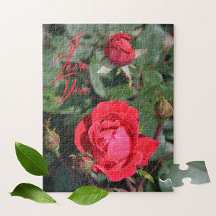Puzzle Roses rouges et Bufs Roses Photographie florale