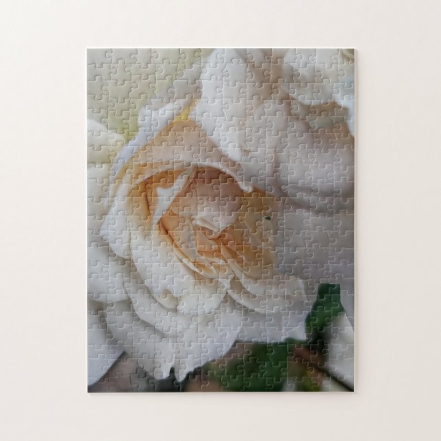 Puzzle Roses timides (Vertical)