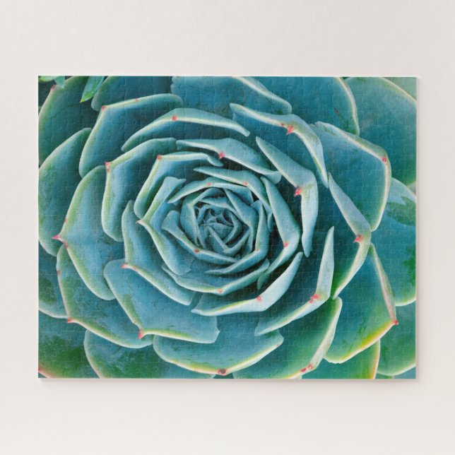 Puzzle Rosette d'Echeveria, Jardin Secret de Marrakech (Horizontal)