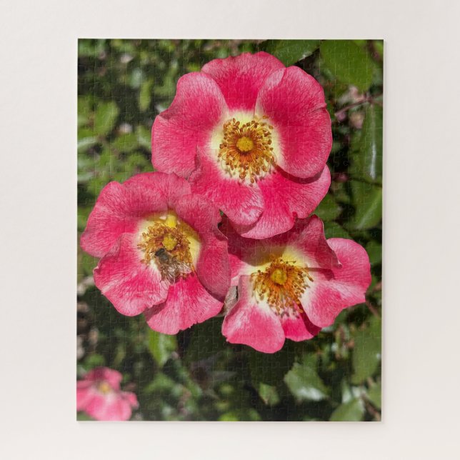 Puzzle Rosier Arbustif à Petite Fleur Rose Simple, San Ma (Vertical)