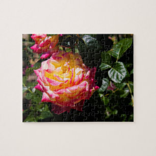 Puzzle Rosy Glow