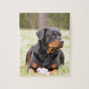 Puzzle Rottweiler Dog
