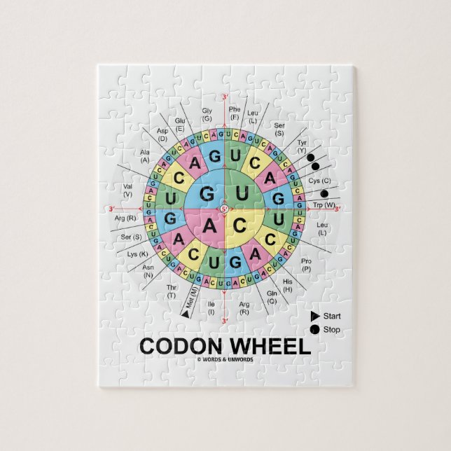 Puzzle Roue de codon (acides aminés de codons d'ARN) (Vertical)