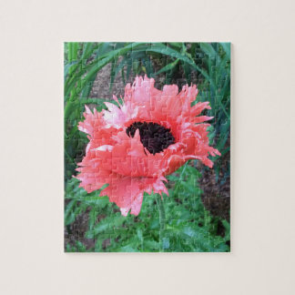 Puzzle "Rouffes roses" POPPY Oriental —