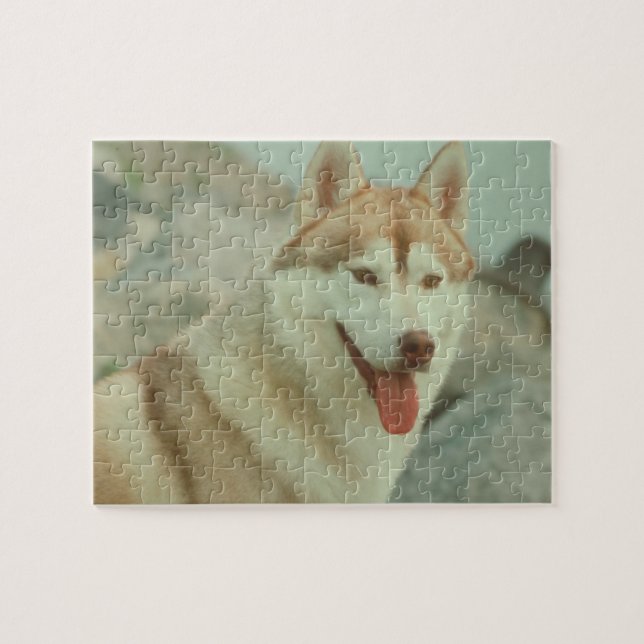 Puzzle rouge de chien de chien de traîneau (Horizontal)