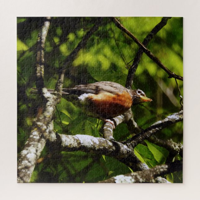 Puzzle Rouge-gorge curieux (Vertical)