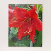 Puzzle rouge Lilly