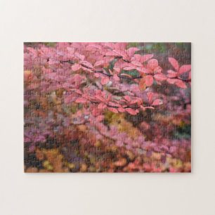 Puzzle Rouge Orange Chute Feuillage Automne Feuilles Natu