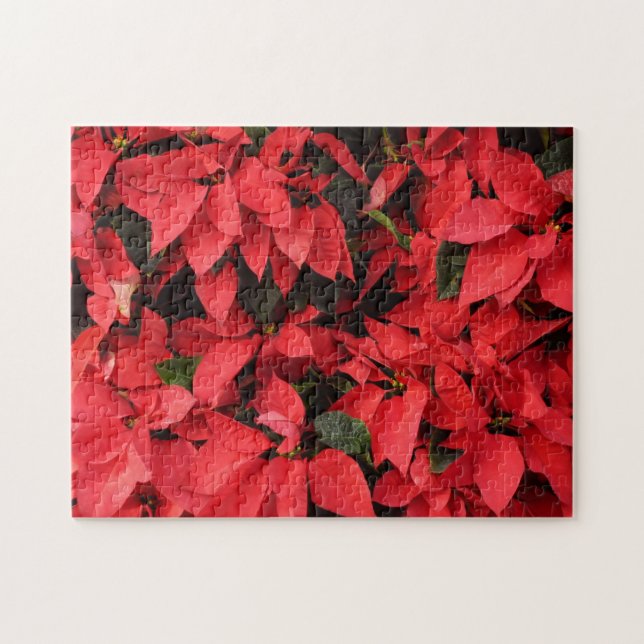 Puzzle Rouge Poinsettias II Noël Fête Florale (Horizontal)