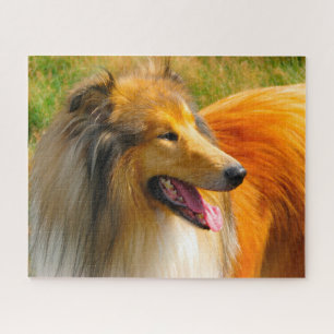 Puzzle Rough Collie Dog Jigsaws.