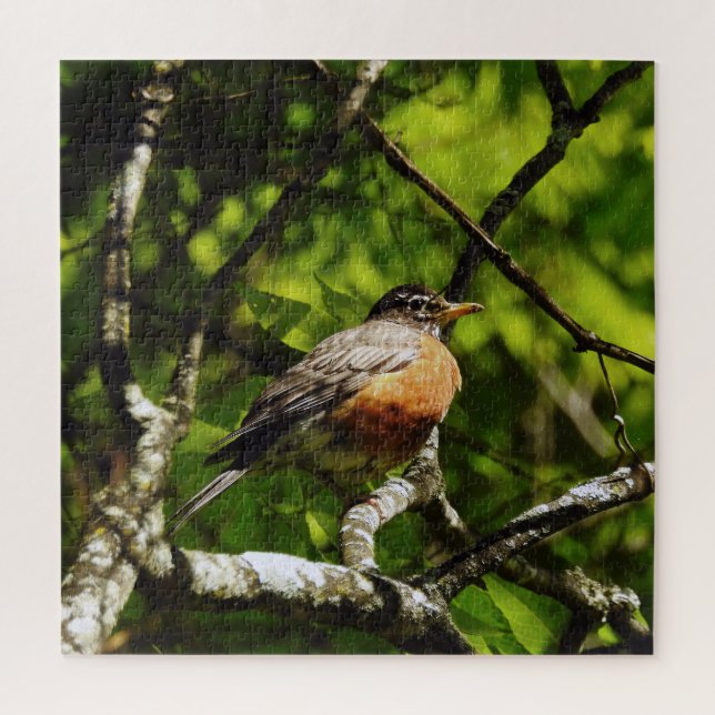 Puzzle Round Robin (Vertical)