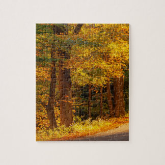 Puzzle Route de campagne d'automne Photo