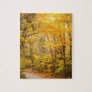 Puzzle Route de campagne d'automne Photo de l'automne