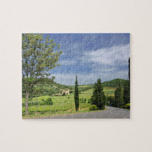 Puzzle Route de campagne sinueuse entre des cyprès en