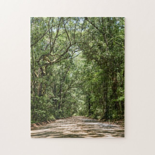 Puzzle Route de l'Angel Oak (Vertical)
