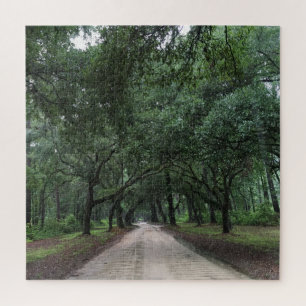 Puzzle route de santee