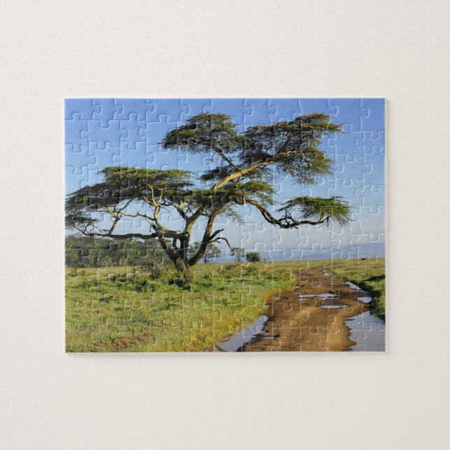 Puzzle Route de terre primitive et acacia, lac Nakuru (Horizontal)