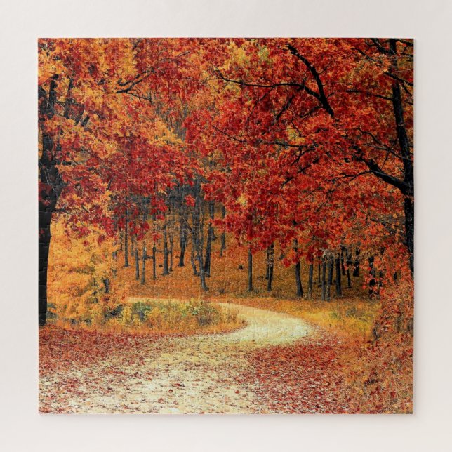 Puzzle Route forestière - Automne - Belle saison (Vertical)