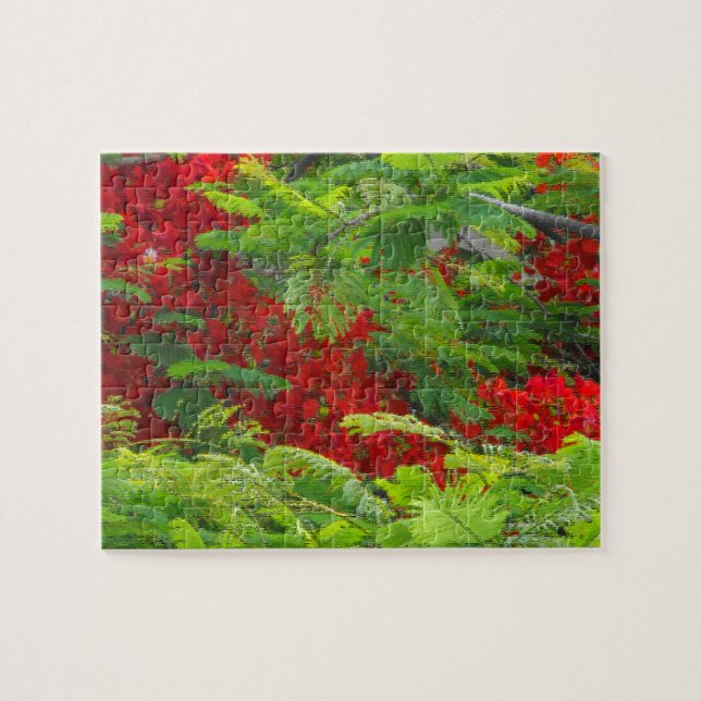 Puzzle Royal Poinciana (Horizontal)