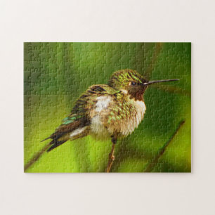 Puzzle Ruby Throby Hummingbird