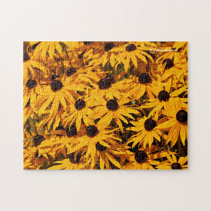 Puzzle Rudbeckia Fulgida / Orange Coneflower