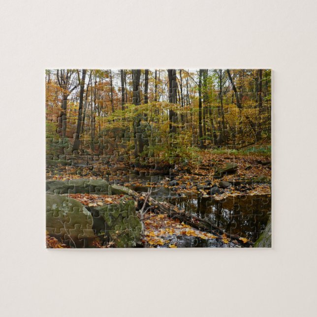 Puzzle Ruisseau de Fall avec reflet au parc Laurel Hill (Horizontal)
