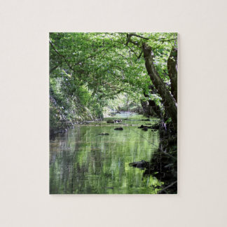 Puzzle ruisseau forestier