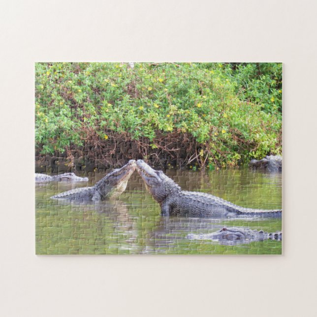 Puzzle Rumble - Ressort avec les Gators ! - Alligator (Horizontal)