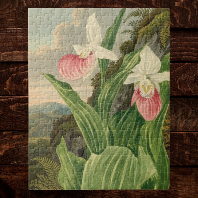 Puzzle Sabot de Vénus Fleur de Orchidée Botanique Floral  (Créateur téléchargé)