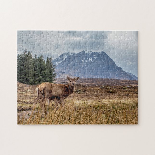 Puzzle Sac rouge sauvage à Glencoe en Ecosse (Horizontal)
