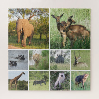 Puzzle safari africain