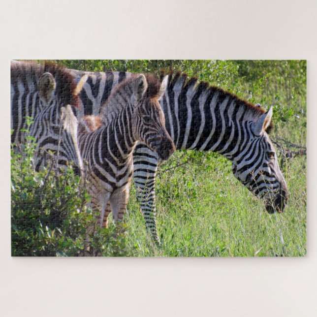 Puzzle safari zèbre (Horizontal)