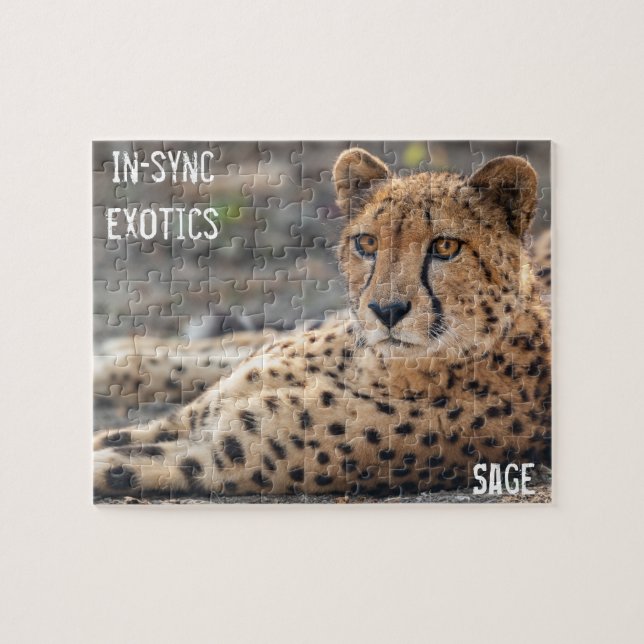 Puzzle Sage - (Horizontal)