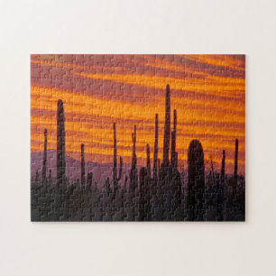 Puzzle Saguaro, coucher du soleil, Parc national du Sagua