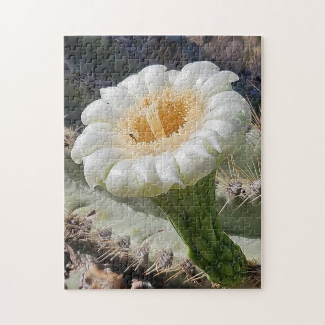 Puzzle Saguaro en fleurs, 28 x 35 cm, 252 pièces (Vertical)