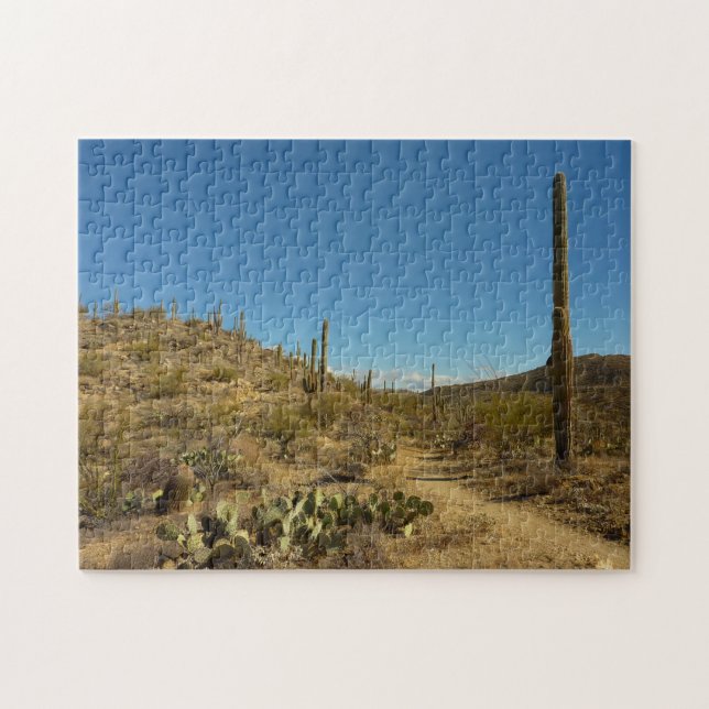 Puzzle Saguaro's Carillo Trail in Saguaro National Park (Horizontal)