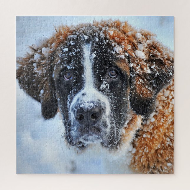Puzzle Saint Bernard dans la neige (Vertical)