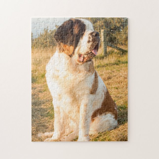 Puzzle Saint Bernard dog in the sunset (Vertical)