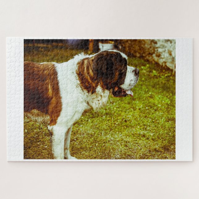 Puzzle Saint Bernard Dog Jigsaws. (Horizontal)