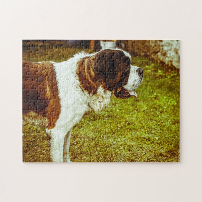 Puzzle Saint Bernard Dog Jigsaws. (Horizontal)