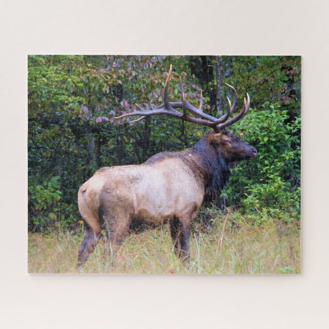 Puzzle Saison de chasse - Bull Elk - 16x20 pouces (Horizontal)