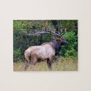 Puzzle Saison de chasse - Elk taureau - 8x10
