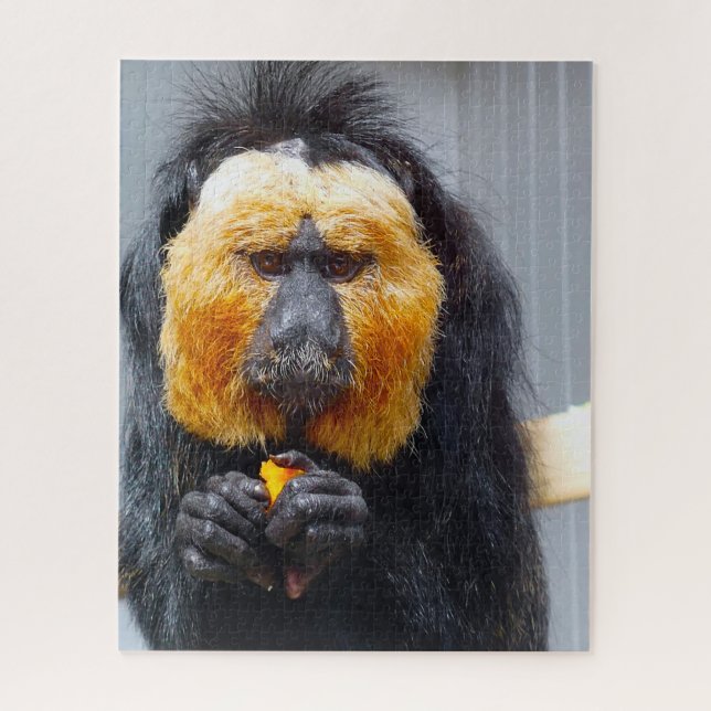 Puzzle Saki Monkeys. (Vertical)