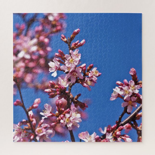 Puzzle Sakura Cerisiers en Fleur Touchant le Bleu (Vertical)