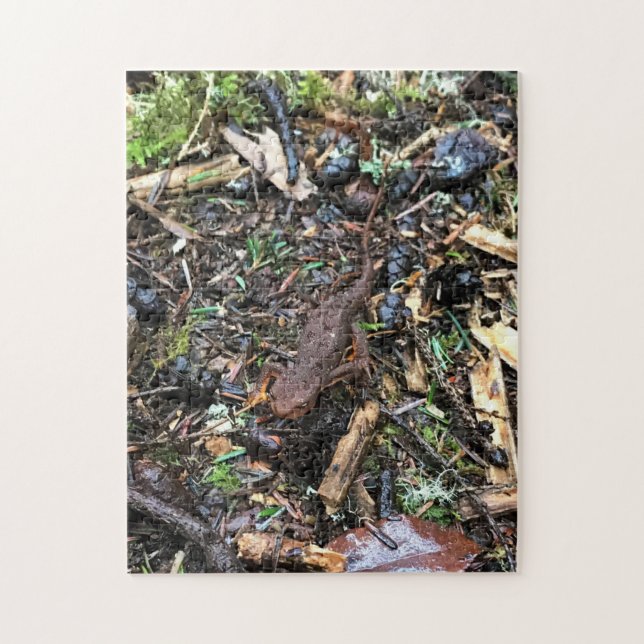 Puzzle Salamandre dans la forêt, Washington (Vertical)