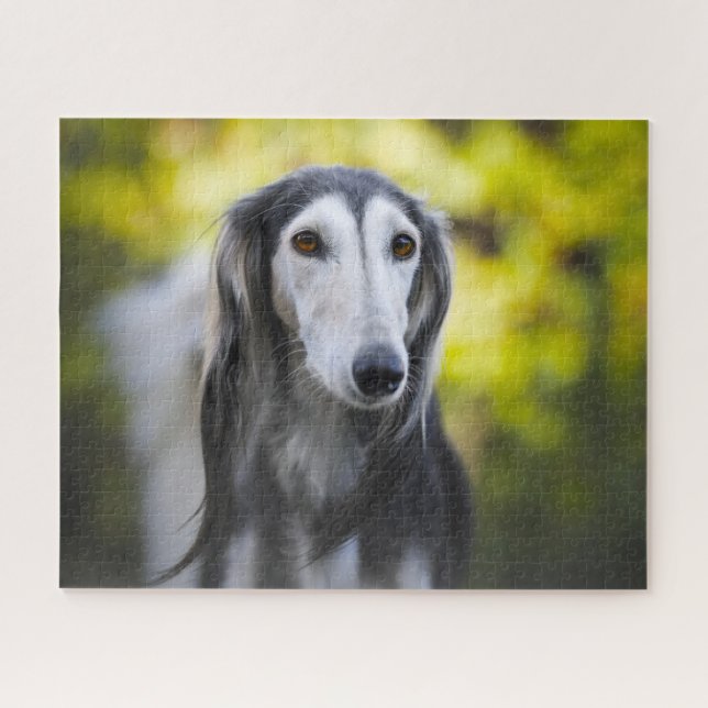 Puzzle Saluki Dog Jigsaws. (Horizontal)